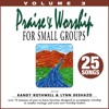 Praise & Worship For Small Groups (Whole Hearted Worship) [Volume 3]