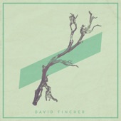 David Fincher (Live Session) artwork