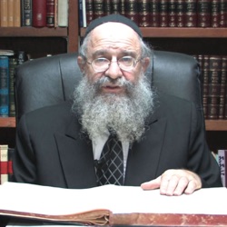 Rabbi Schapiro's Zichronos