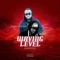 Waving Level (Aayalolo) [feat. Ayesem] - Chaka NewYea lyrics