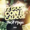 I'm a Playa (feat. TZ Goof, Calicoe & Con B) - Single album lyrics, reviews, download