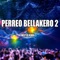 Perreo Bellakero 2 - Mister Remix lyrics
