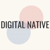 Digital Native artwork