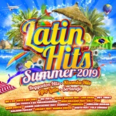 Latin Hits - Summer 2019 artwork