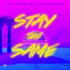 Stream & download Stay the Same (Radio Edit) [feat. Nino Lucarelli] - Single