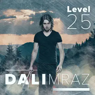 baixar álbum Dali Mráz - Level 25