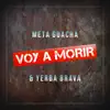 Voy a Morir - Single album lyrics, reviews, download