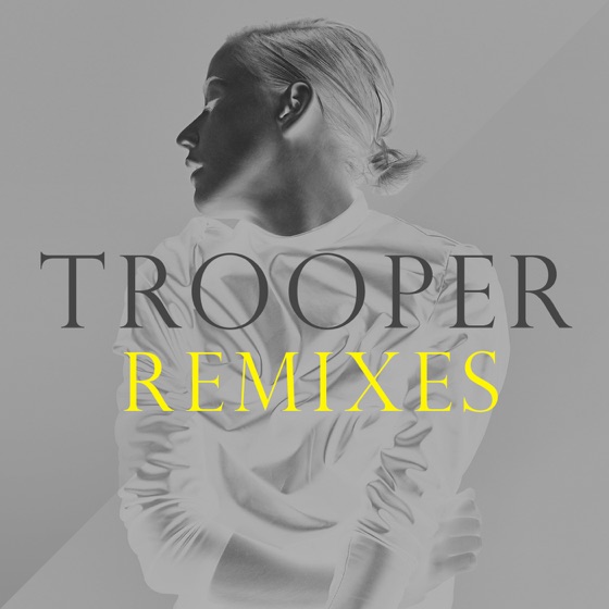 Cover artwork for Trooper