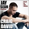 Stuck In the Middle (feat. Craig David) - Single, 2009