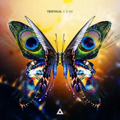 U & Me - Tritonal