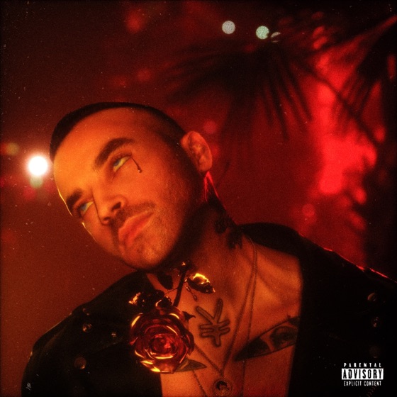 Cover artwork for Fer