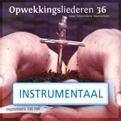 Als Ik Huil (738) [Instrumentaal] artwork