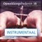 Als Ik Huil (738) [Instrumentaal] artwork