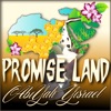 Promise Land - Single