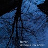 Streams and Tears