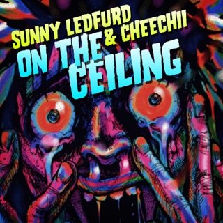 ‎sunny ledfurd on apple music