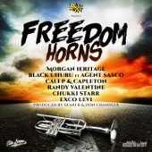 Freedom Horns - Various Artists