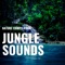 Jungle Noise artwork