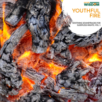 Various Authors - Youthful Fire - Soothing Soundtracks for Sleepless Nights, Vol. 5 artwork