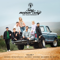 80 Millionen (aus "Sing meinen Song, Vol. 7") - MoTrip