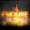 Endure album lyrics, reviews, download