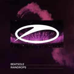 Raindrops - Single by Beatsole album reviews, ratings, credits