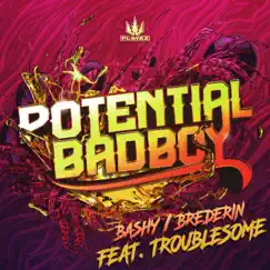 Bashy / Brederin - Single by Potential Badboy & Troublesome album reviews, ratings, credits