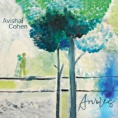 Avishai Cohen - Gesture #2