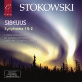 Sibelius: Symphony No. 1 in E Minor & Symphony No. 2 in D Major artwork