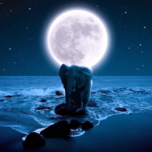 Rulee – Your Songs