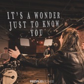 It's a Wonder Just to Know You (feat. Laurel Taylor) artwork
