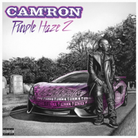 Cam'ron - Purple Haze 2 artwork