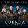 Fierro Pa' Vallarta - Single album lyrics, reviews, download