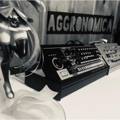 Aggronomica artwork