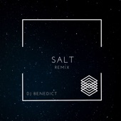 Salt (DJ Benedict Remix) artwork