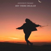Hey There Delilah (feat. Tom Bailey) artwork
