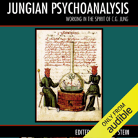 Murray Stein (Editor) - Jungian Psychoanalysis: Working in the Spirit of Carl Jung (Unabridged) artwork