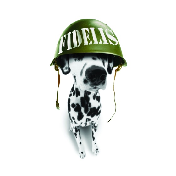 Cover artwork for Stay