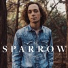 Sparrow - Single