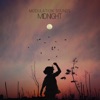 Modulation Sounds - Midnight
