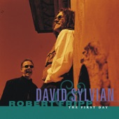 David Sylvian - God's Monkey