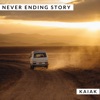 Never Ending Story (Acoustic) - Single