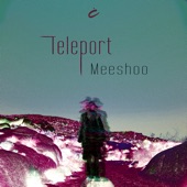 Teleport artwork