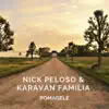 Pomagele - Single album lyrics, reviews, download