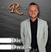 Die Dwaas - Single