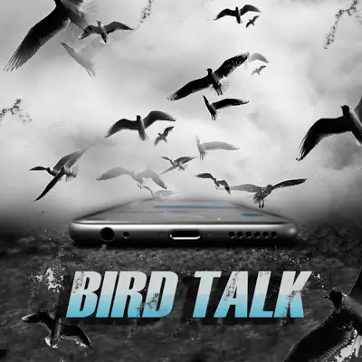 Bird Talk - Single - Project Pat