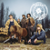 Thunderstruck - Steve ‘n’ Seagulls