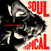Soul Tropical - David Walters