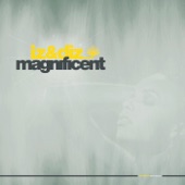 Magnificent (Justin Martin Remix) artwork