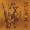 Harmonium - Un Musicien Parmi Tant D'autres